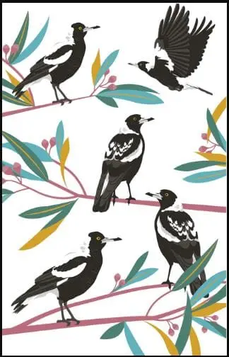 Allgifts Australia Kitchen Tea Towel – Australian Magpies Illustration 1