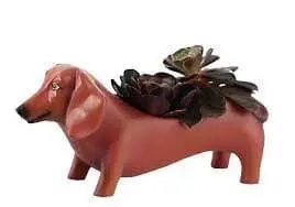 Baby Oscar Mini Planter – Adorable Animal-Shaped Pot For Small Plants By Rikaro 1