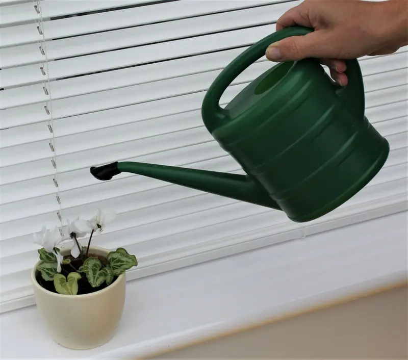 Small Green Rose-Style Watering Can For Indoor Plants 1